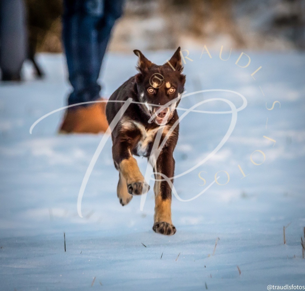 360E9530-7450-4B75-9F9E-9F0707D270EE | traudl_s_fotos