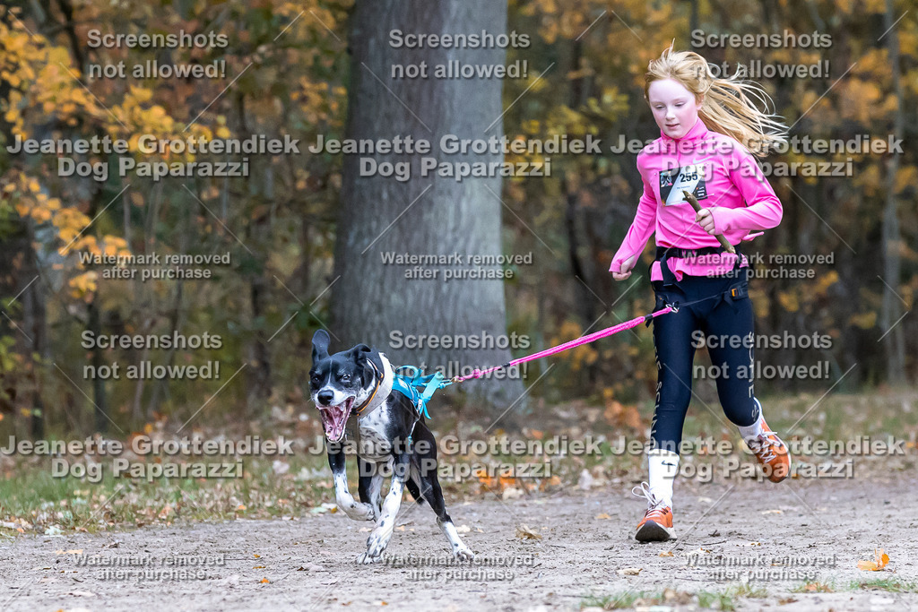 Dog Paparazzi - SD CaniX Championship 2025-649 | Dog Paparazzi Jeanette Grottendiek Fotografie & Videografie - Realisiert mit Pictrs.com