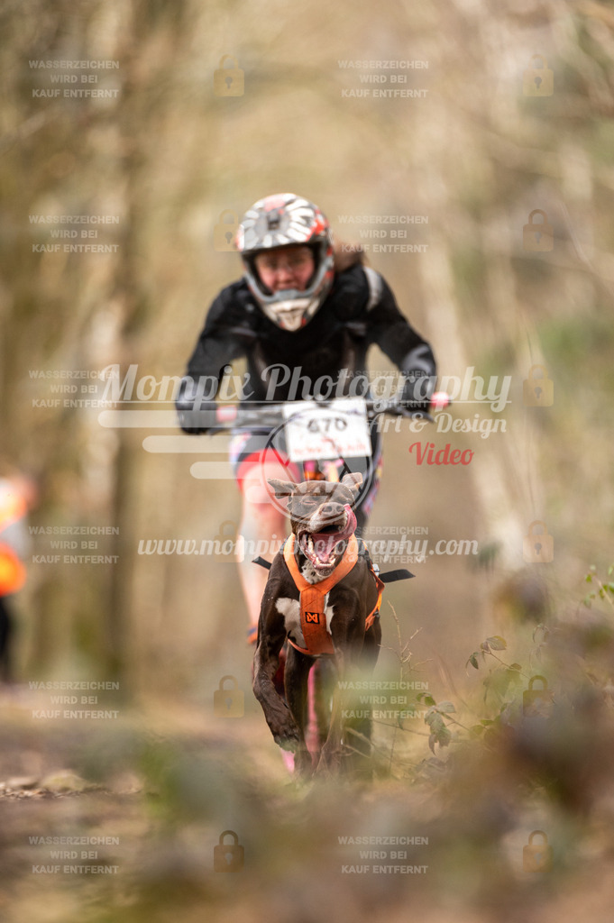 SPA_2023_SAM_Scooter-41 | PayLife