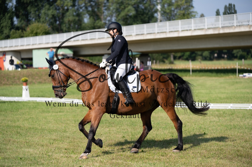 A7V09374 | Pferdefotograf