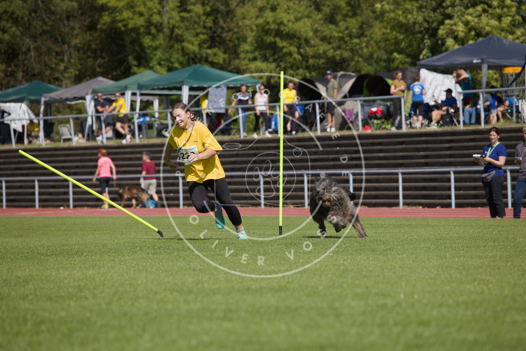 0L8A7228 | Hundefotografie, Tierfotograf, Pfotenfotografie, Fotoshooting Hund, Hunde Portrait, Hundesport, Hundeportraits, Heideshooting, Hunde, Sportfotograf, Hundefotograf, Turnierhundsport, THS,  - Realisiert mit Pictrs.com