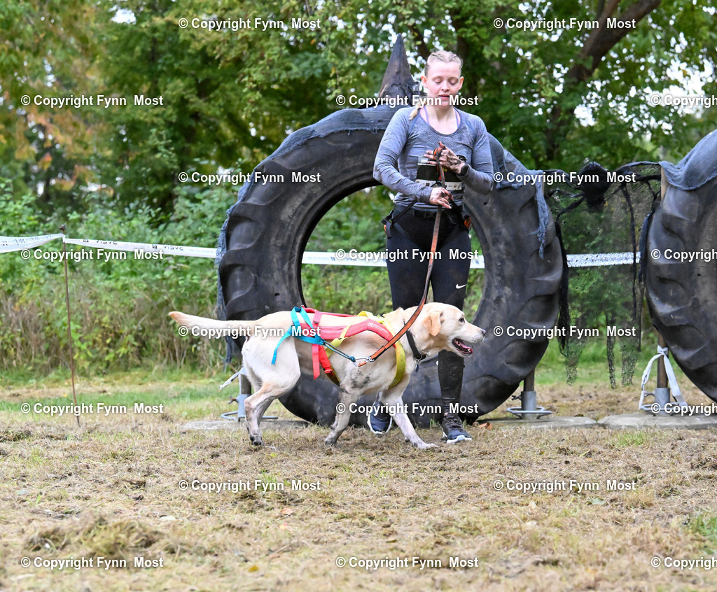 DSC_7846 | Hallo und herzlich Willkommen auf meiner Shop-Seite Fynn Most.

Ich wünsche Dir viel Spaß beim stöbern durch die Bilder, wenn Du Fragen hast oder Bilder vermisst, kannst du mir gerne eine Nachricht schreiben. - Realized with Pictrs.com
