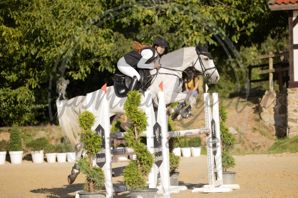 994A8656 | sabrinanicolaifotografie - Realisiert mit Pictrs.com