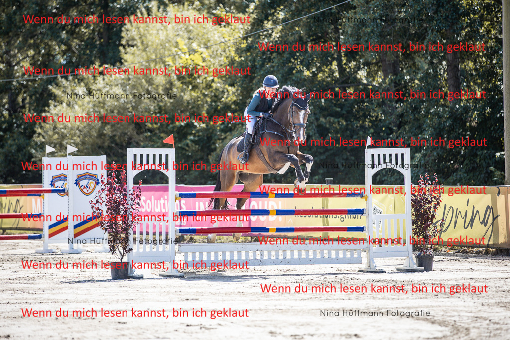BK1A6613 | Turnierbilder Turnierfotos Nina Hüffmann Turnierfotografie Pferdefotografie Tierzeichnung Haustierzeichnung Pferdezeichnung Hundezeichnung Videograf  - Realisiert mit Pictrs.com