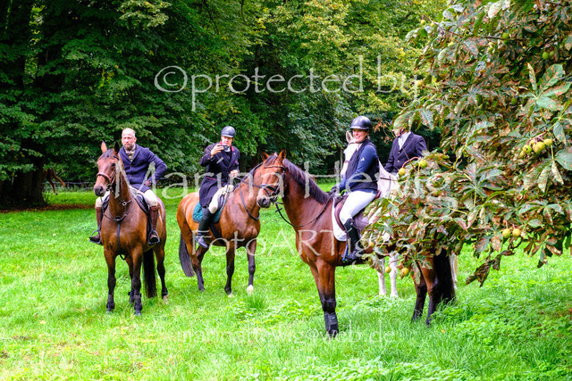Jagd Perdoel 26 Fuji-9653_MarinaHewig | Fotografie, FotoArt, PferdesportArt, Pferdesportfotografie, Landschaftsfotografie, Reisefotografie, Reise, Pferde - Realisiert mit Pictrs.com