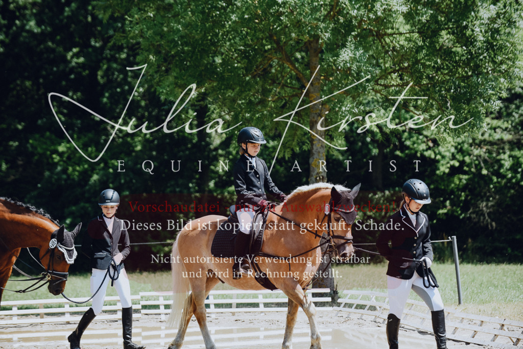 DSC_2125 | Pferde- und Turnierfotografie in Westsachsen. Pferdeportraits, Auftragszeichnungen und intuitive Kunst.