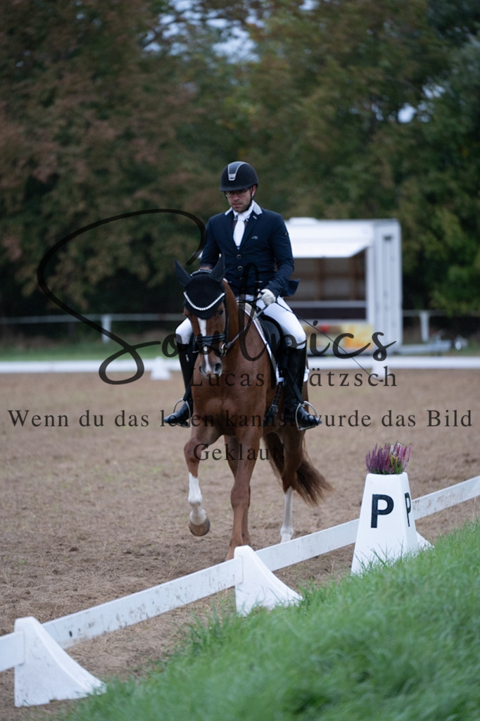 A7V04933 | Pferdefotograf