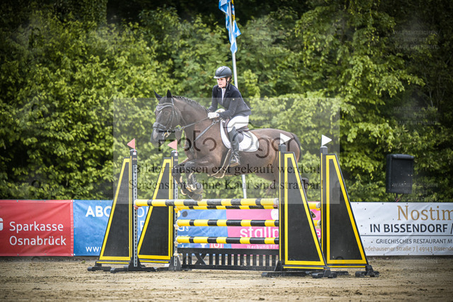 DOS_6369 | Entdecke hochwertige Reitturnierfotos von Foto Oger. Professionell, emotional und authentisch – jetzt Lieblingsmomente im Shop bestellen. - Realized with Pictrs.com