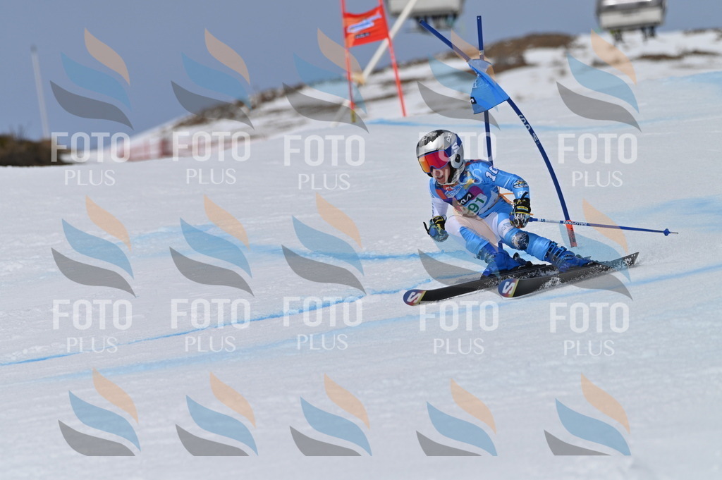 BGV_5814 | holidayphoto