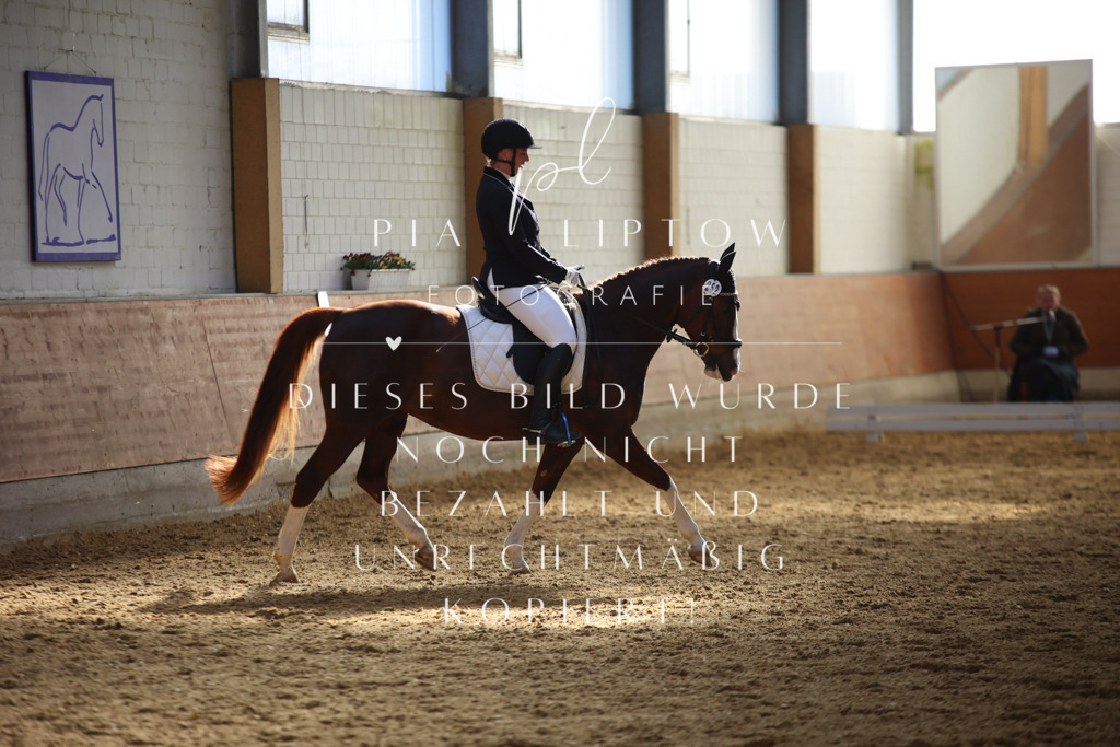 IMGT6674 | pl-fotografie