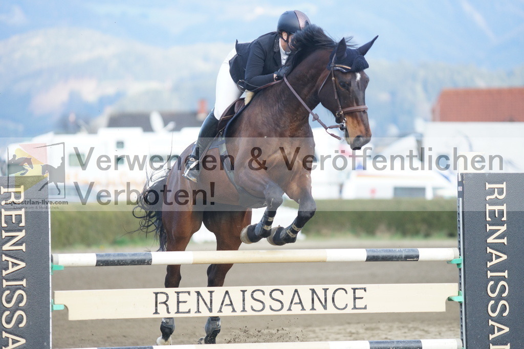 DSC03641 | equestrian-live-com