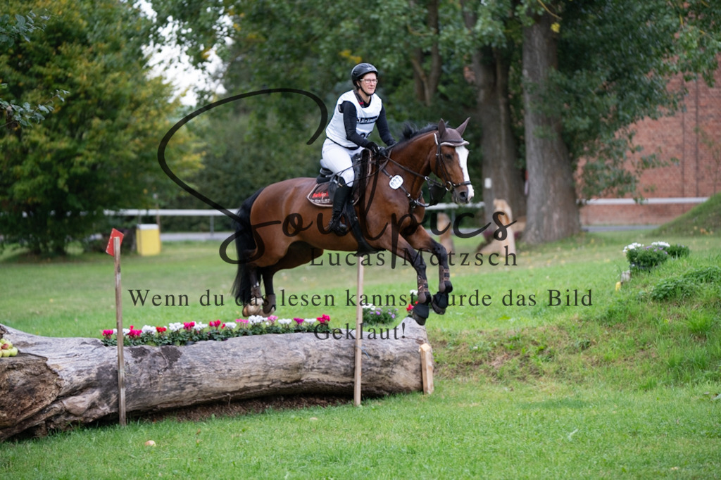 A7V02912 | Turnier/Reitfotograf