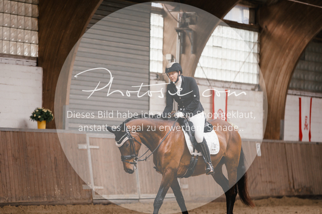 3I6A7455 | Stimmungsvolle Portraits und Reitsportfotografie im Ruhrgebiet und im Münsterland.

Pferdefotografie, Hundefotografie, Tierfotografie, Reportagen, Portraits von Tier und Mensch, Turnierfotografie in Bochum, Recklinghausen, Marl, Haltern am See, Dülmen.. - Realisiert mit Pictrs.com
