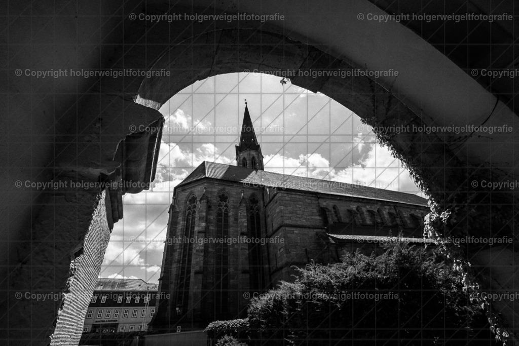 20250628142220D75_2748 | Kaufen sie online außergewöhnliche Fotografien auf Leinwand Acrylglas Fotoprint Aludibond von holgerweigeltfotografie - Realisiert mit Pictrs.com