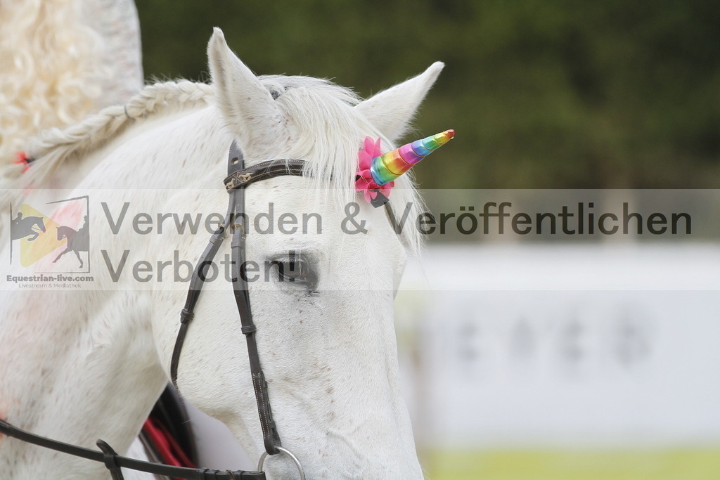 _MG_5528 | equestrian-live-com