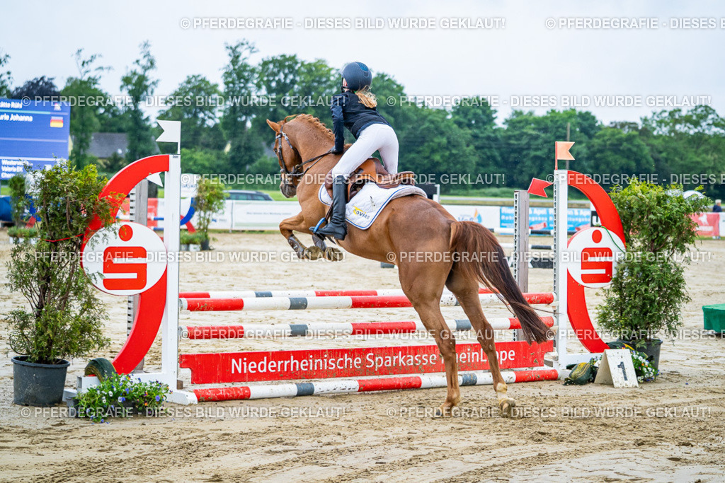 DSC01376 | Pferdegrafie