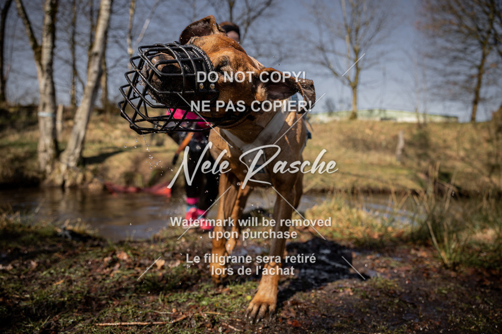 nelerasche_FS1230-1300_126 | nelerasche
