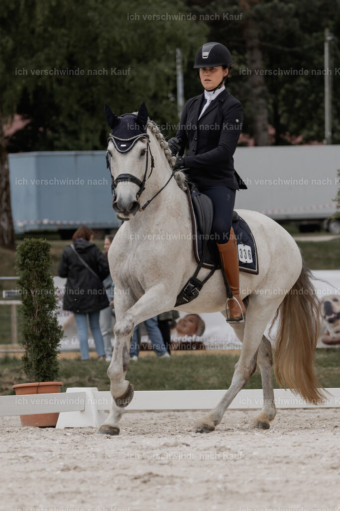 WE_DR_Stoib_336_PI2025_762 | Pferd International München 2025
