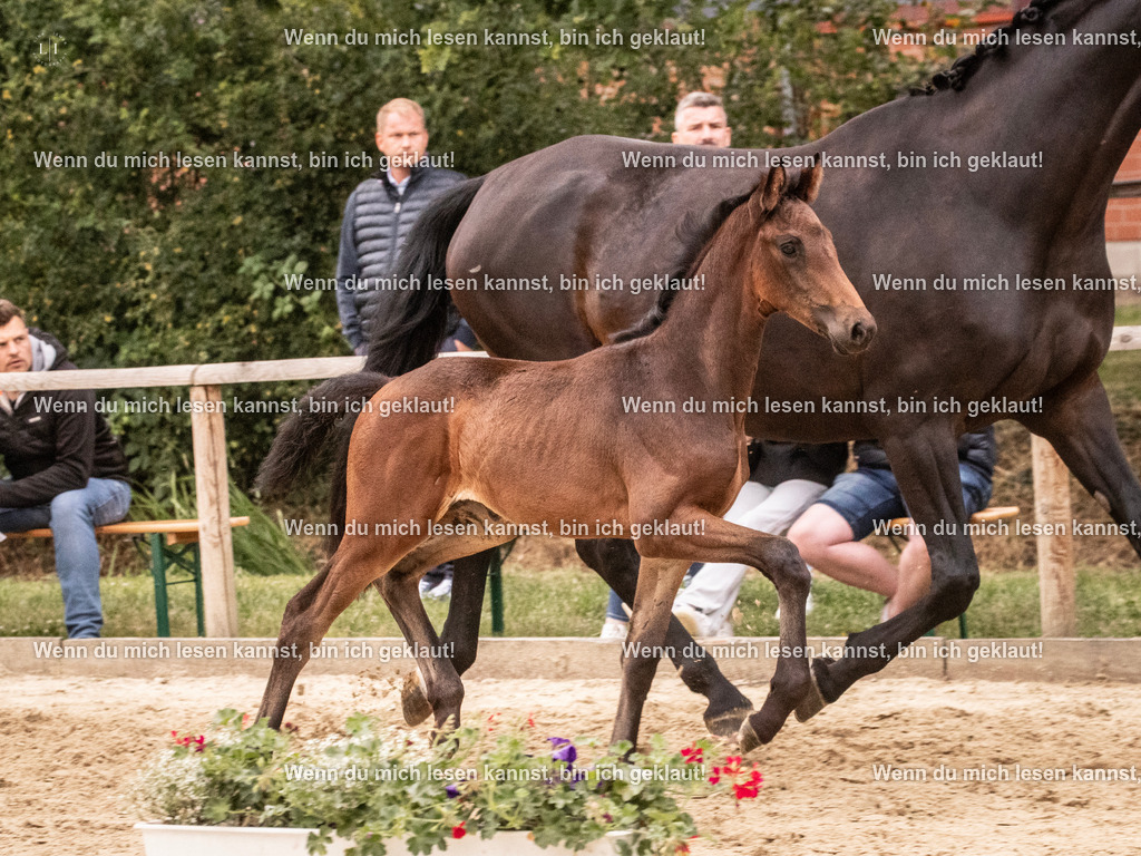 A10I5948 | photographylinaismer - Realisiert mit Pictrs.com