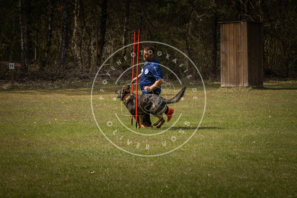 Pfotenfotografie_DV3A4779 | Hundefotografie, Tierfotograf, Pfotenfotografie, Fotoshooting Hund, Hunde Portrait, Hundesport, Hundeportraits, Heideshooting, Hunde, Sportfotograf, Hundefotograf, Turnierhundsport, THS,  - Realisiert mit Pictrs.com