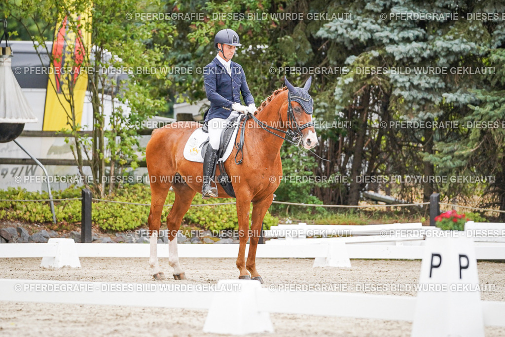 DSC08358 | Pferdegrafie