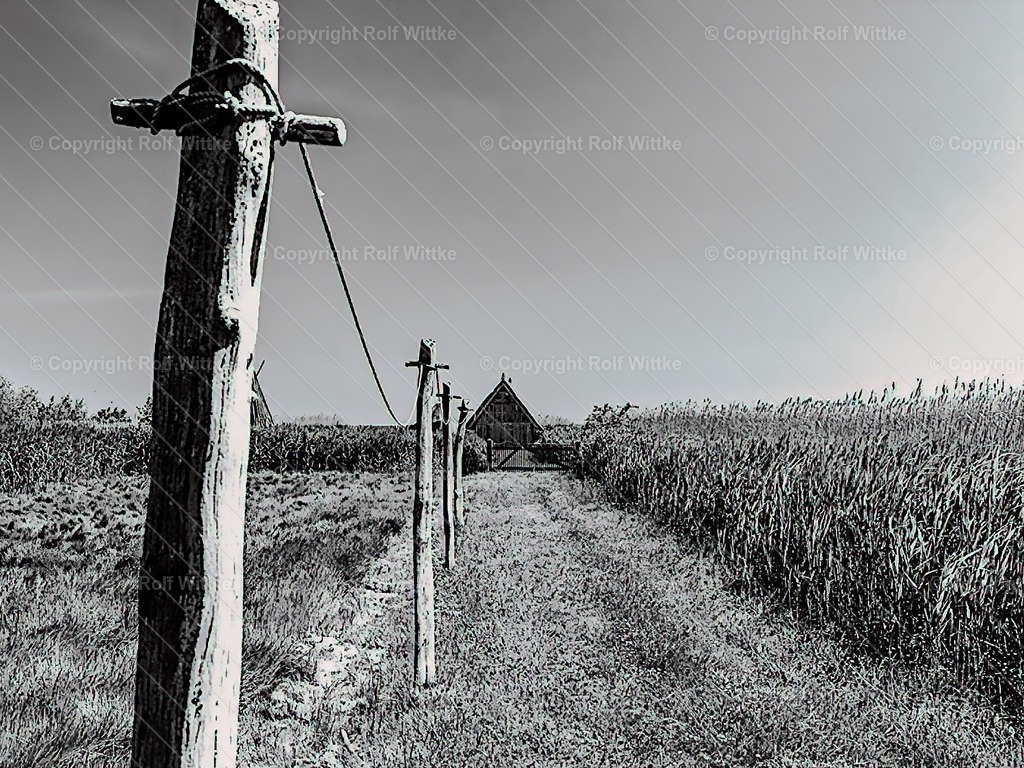 boddenlandschaft | Rolf Wittke  - Realisiert mit Pictrs.com