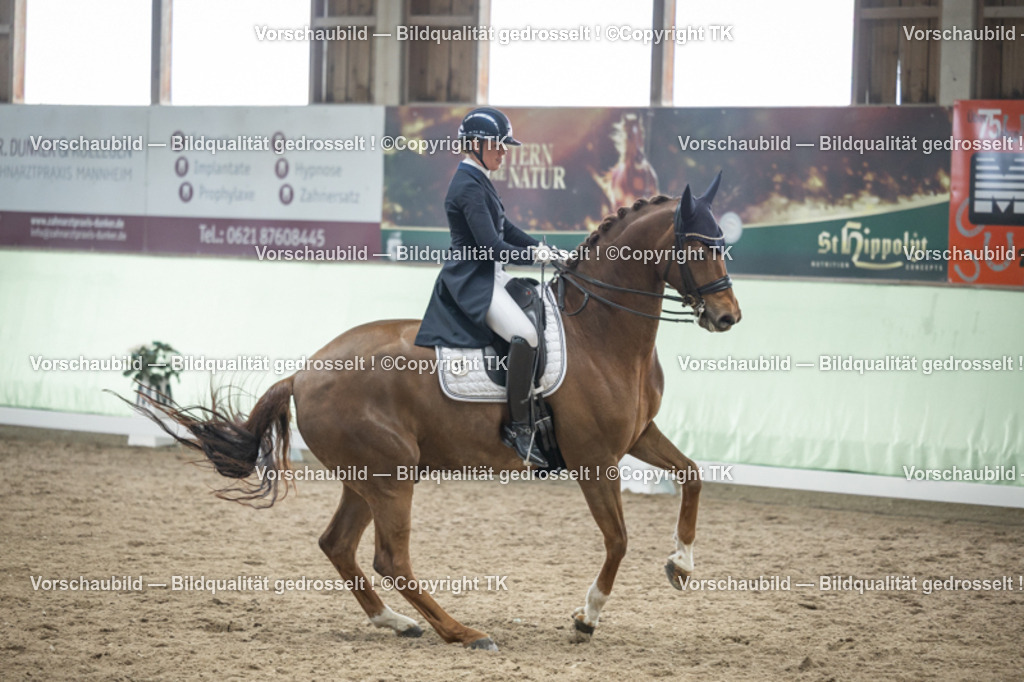 _D5A6157 | Emotionale Pferde- & People-Fotografie rund um Heidelberg, Leimen & Umgebung. Natürliche Fotos von Pferd, Mensch & Familie. Jetzt Termin sichern!