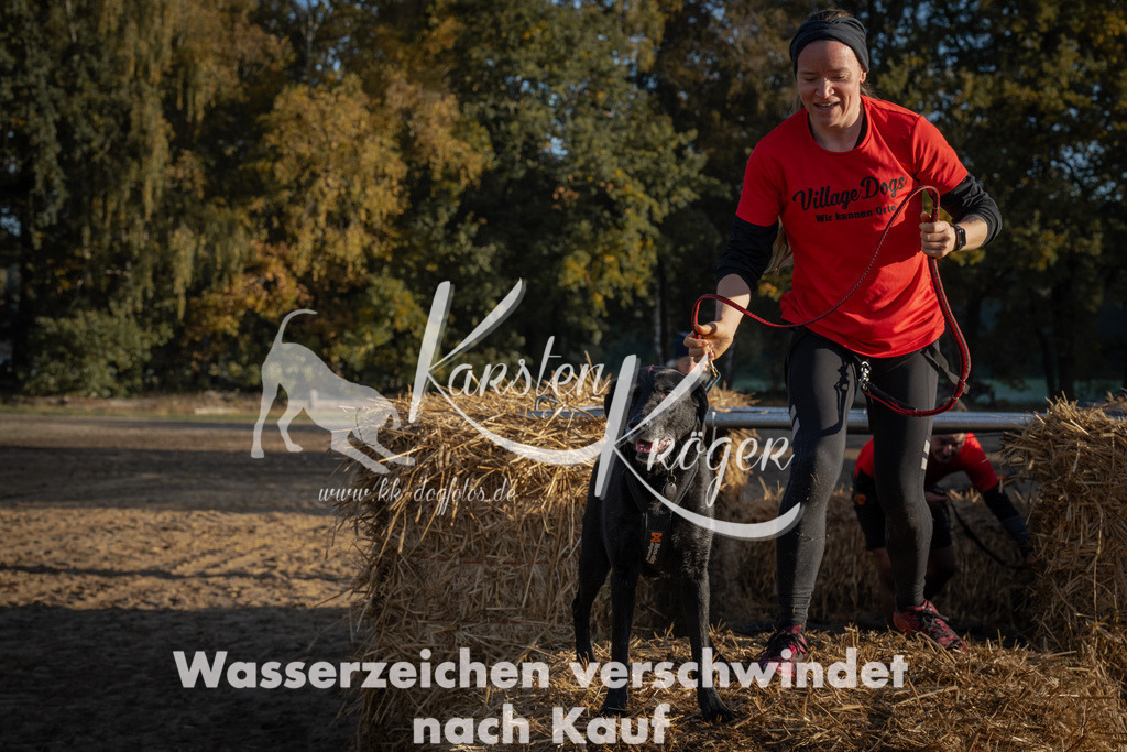 0939_ZZ94154 | kk-dogfotos