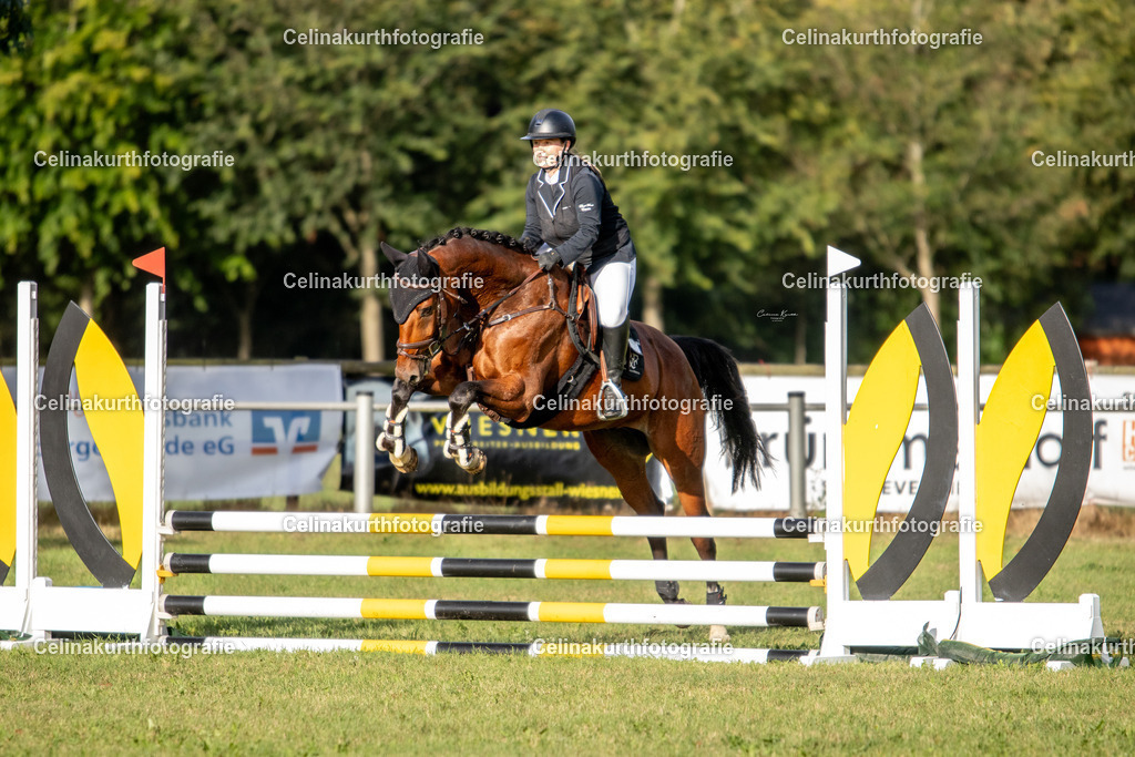 IMG_7633 | Celinakurthfotografie - Realisiert mit Pictrs.com