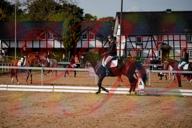 2026_10_03_Siefer-Hof_115454_Z63_30225278 | Professionelle Reitsport-, Turnier- und Eventfotografie von Robert Broda. Galerien mit ausgewählten und bearbeiteten Bildern direkt online ansehen und bestellen.