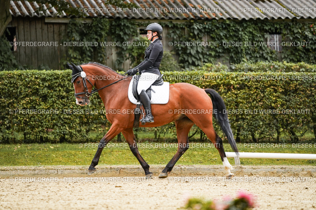 DSC07142 | Pferdegrafie