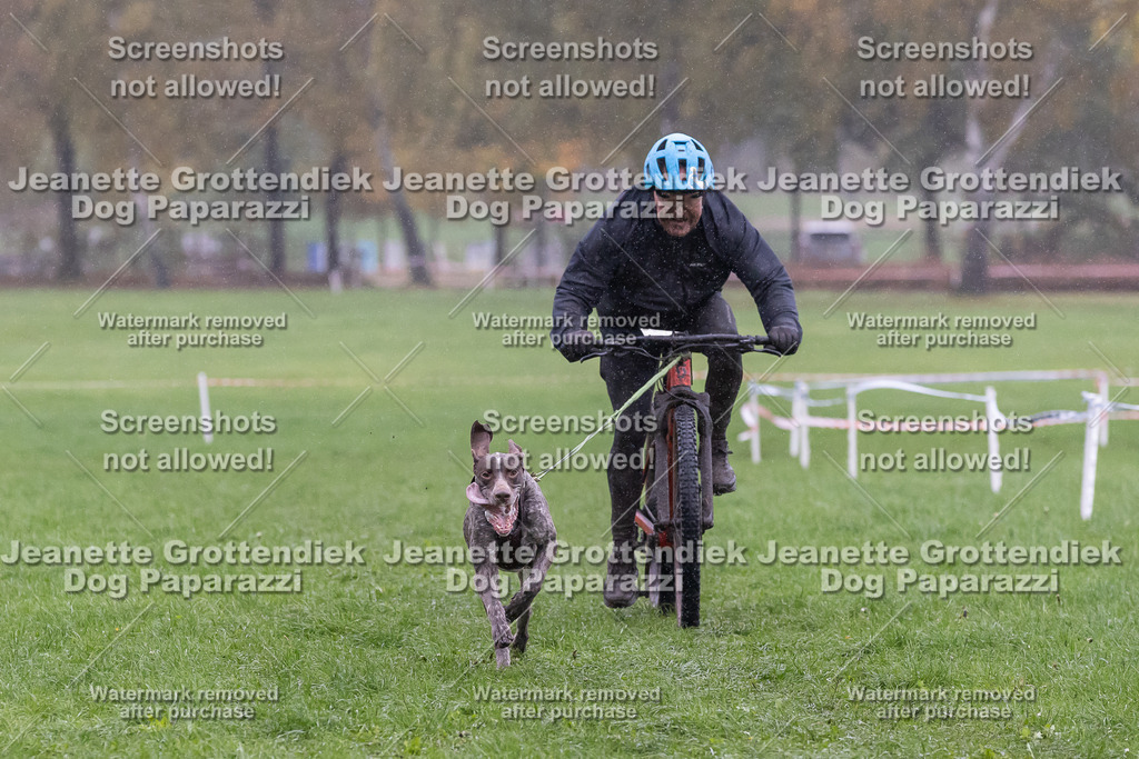 Dog Paparazzi - SD CaniX Championship 2025-915 | Dog Paparazzi Jeanette Grottendiek Fotografie & Videografie - Realisiert mit Pictrs.com