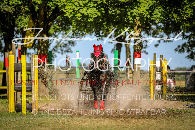 IMG_4568 | Joshua Klöppel Photography