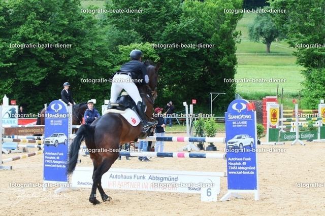 OHT2191 | Fotografie, Tiere, Hunde, Katzen, Pferde, Sportfotografie, Fotosession, Tierfotografie, Turnierfotografie, Fotografin, Fotograf - Realisiert mit Pictrs.com