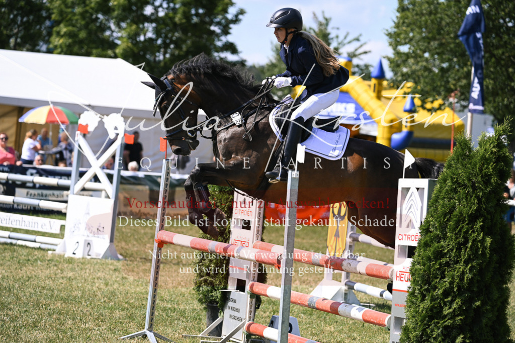 DSC_0404 | Pferde- und Turnierfotografie in Westsachsen. Pferdeportraits, Auftragszeichnungen und intuitive Kunst.