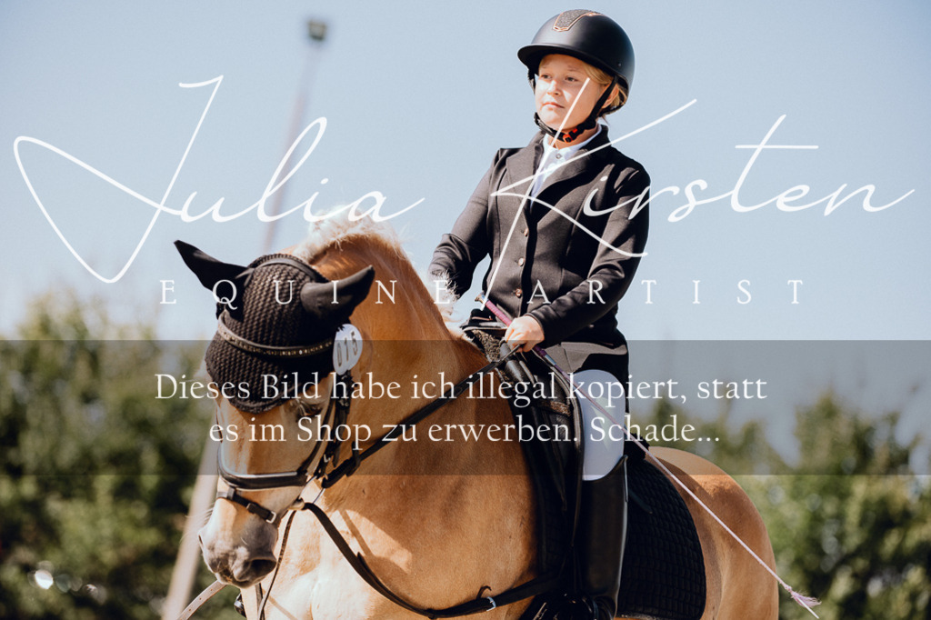 DSC_7031 | Pferde- und Turnierfotografie in Westsachsen. Pferdeportraits, Auftragszeichnungen und intuitive Kunst.