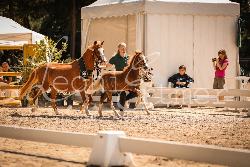 04.DoWP00115 | Leoni Ertmer Photography - Realisiert mit Pictrs.com