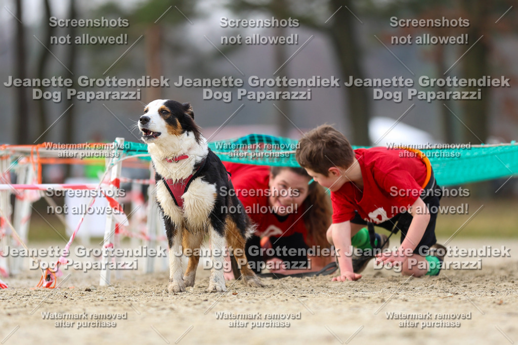 Dog Paparazzi - Strongdog North Mrz26-4217 | Dog Paparazzi Jeanette Grottendiek Fotografie & Videografie - Realisiert mit Pictrs.com