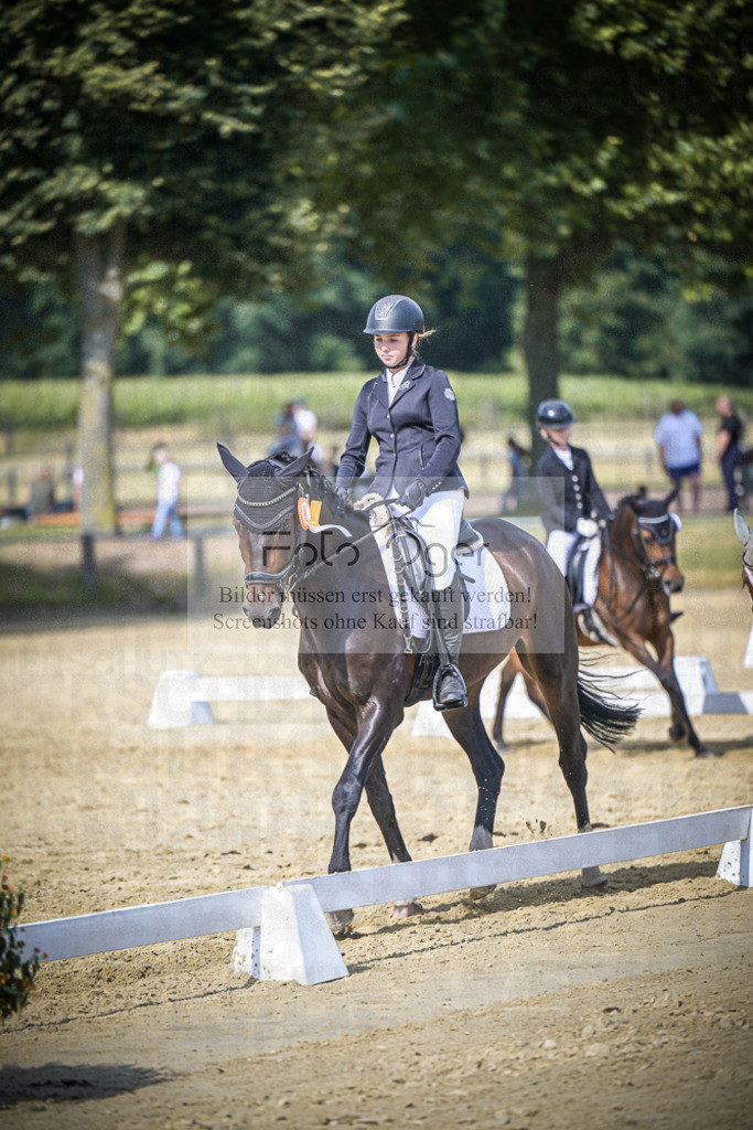 DOS_9031 | Entdecke hochwertige Reitturnierfotos von Foto Oger. Professionell, emotional und authentisch – jetzt Lieblingsmomente im Shop bestellen.Deutschlandweite Turnierfotografie. - Realisiert mit Pictrs.com