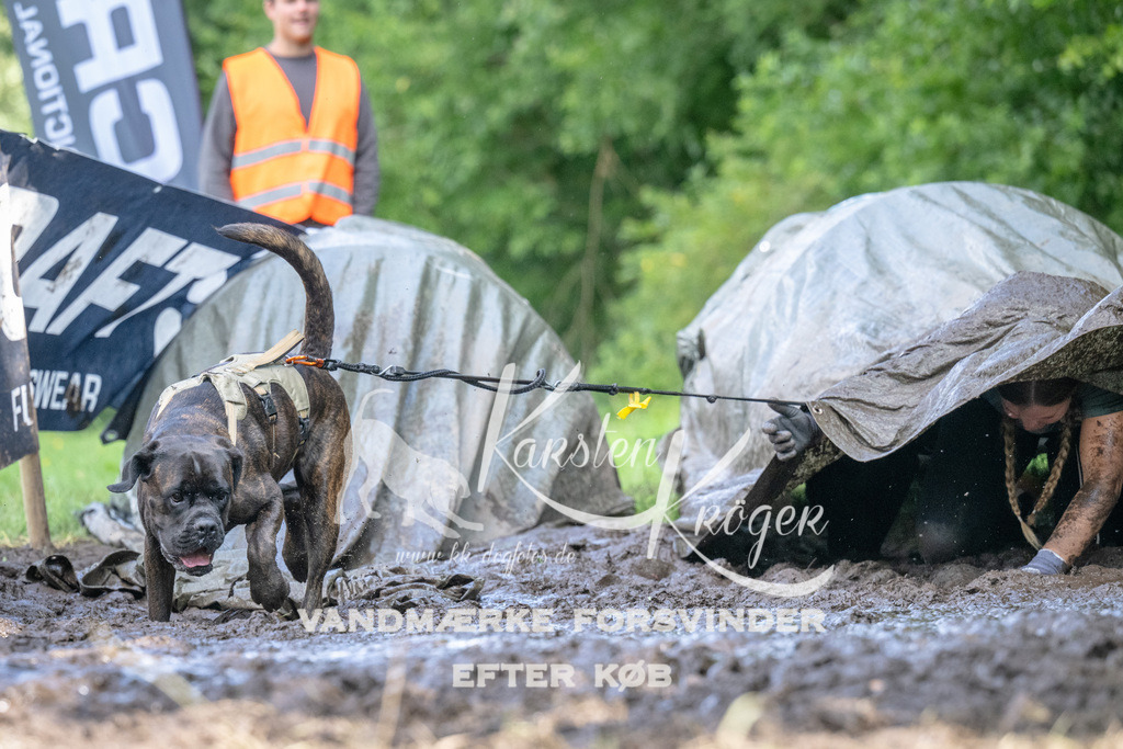 1530_ZZ91531 | kk-dogfotos