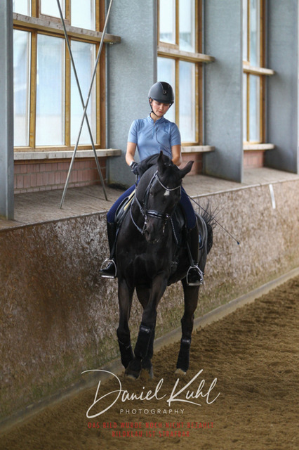 DKP42709 | Turniersportfotografie; Pferdefotografie; Dressurfotografie