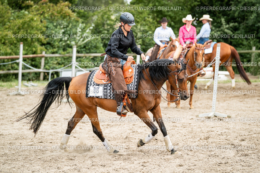 DSC02006 | Pferdegrafie