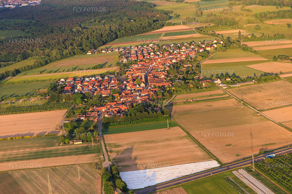 Luftbild: Dorfansicht aus Nordwesten in Erlenbach bei Kandel im Bundesland Rheinland-Pfalz in Deutschland. Foto: IMG_146792.jpg vom 20.05.2025 durch Werner Riehm/FLY-FOTO.de