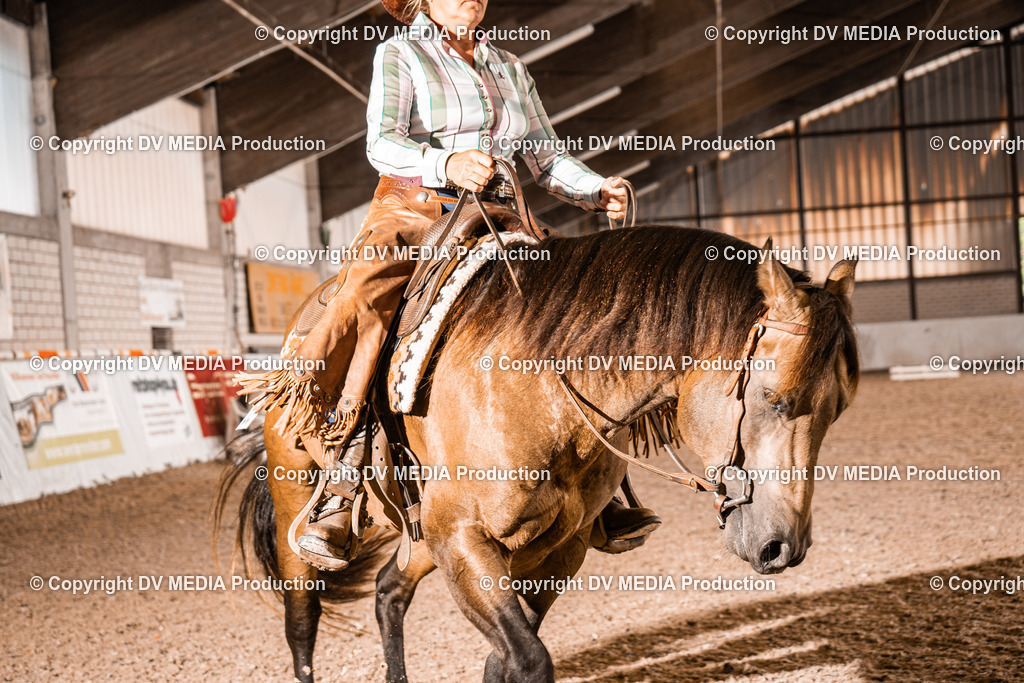 ZH100351 | dv-media-shop - Realisiert mit Pictrs.com