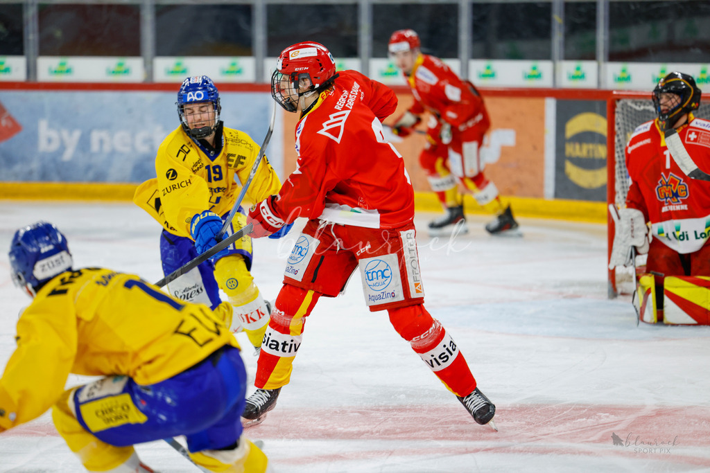 U21_EHCB vs HCD_wb20260308-0144 | Sportbilder, Sportfotograf, Hochzeits- und Eventfotografin, Flugshows, Portraits und Tiershooting, Aviation, Downhill, Nationalleague, Swissleague, International