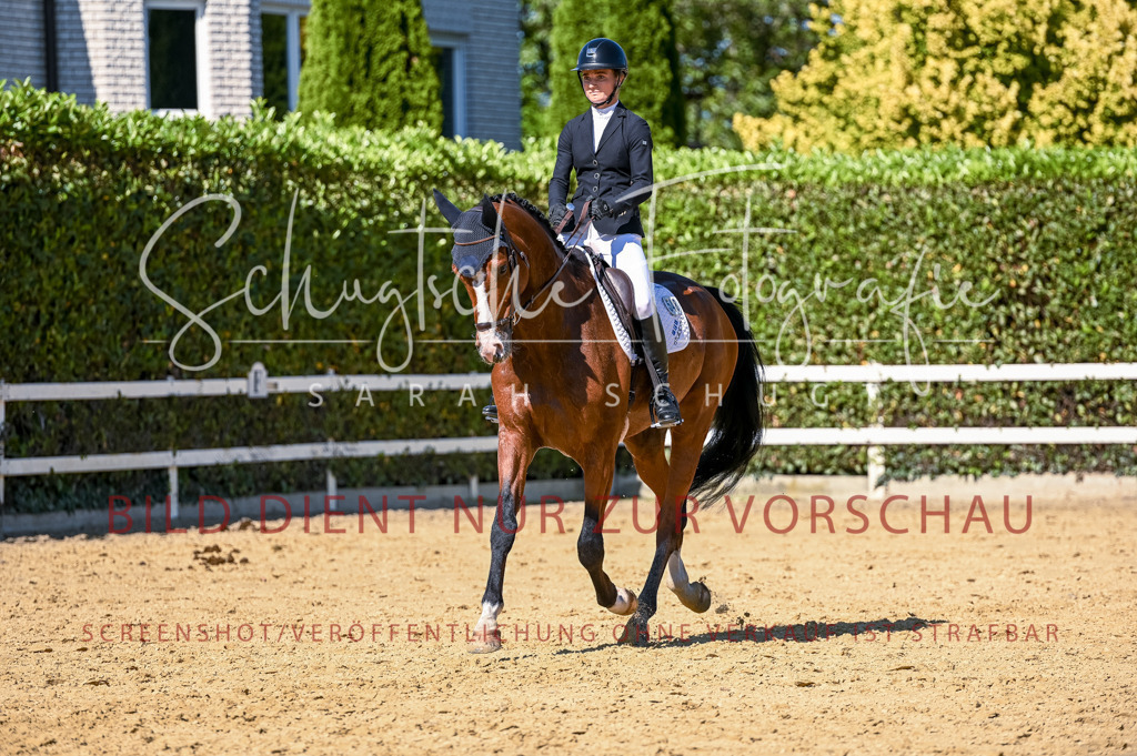 Schugtsche-Aluta25-50.Dressurpferdeprf.L-132 | Schugtsche Fotografie - Realisiert mit Pictrs.com