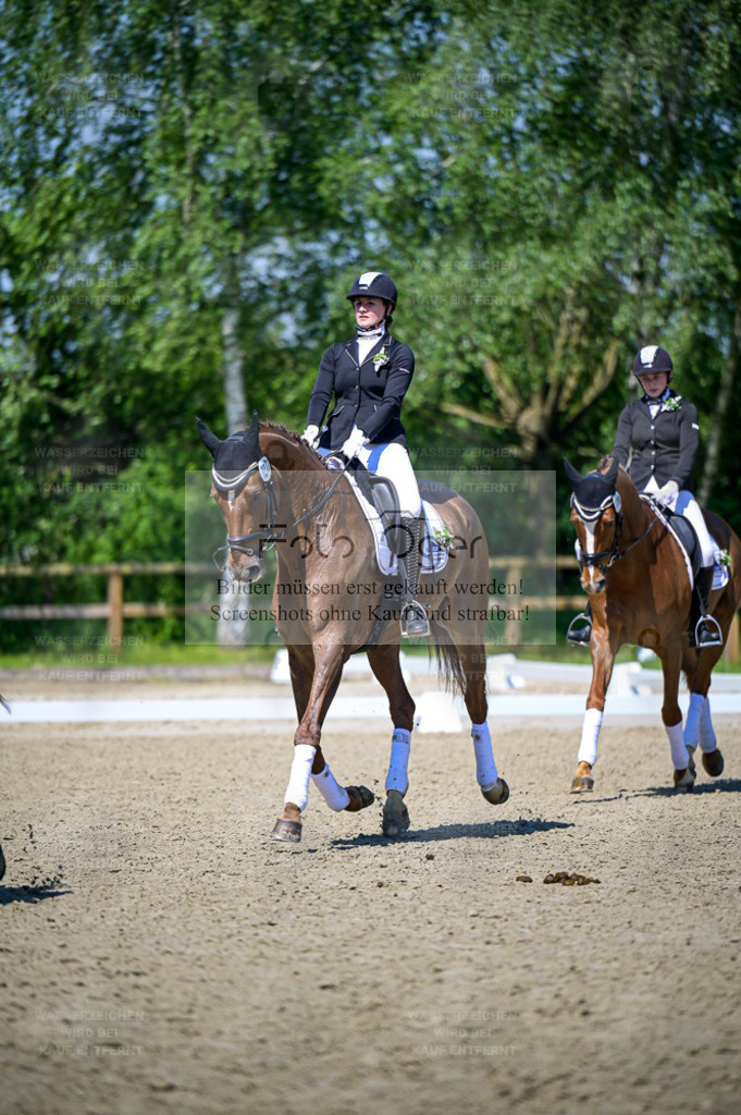 Reitturnier Lienen | Entdecke hochwertige Reitturnierfotos von Foto Oger. Professionell, emotional und authentisch – jetzt Lieblingsmomente im Shop bestellen. - Realisiert mit Pictrs.com