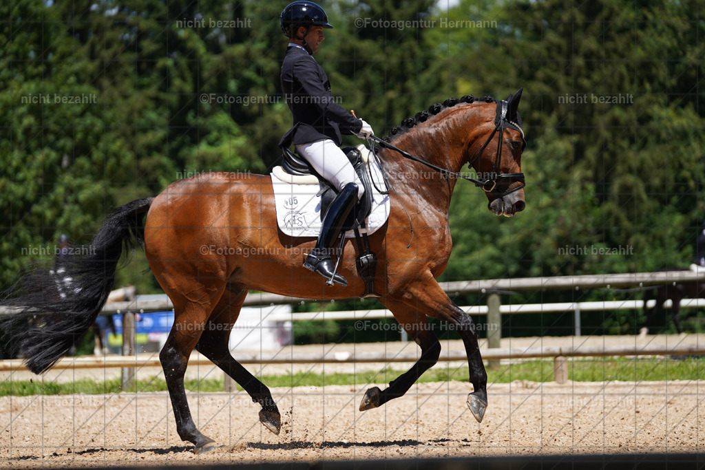 20240705-FAH03802 | Turnierbilder von Grafing, Reitsportbilder, Turnierfotos, Turnierfotografen Bayern, Pferdefotograf, Fotoagentur Herrmann