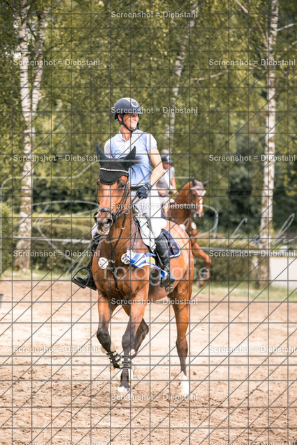 _W6A1555 | ronjaprokoschfotografie - Realisiert mit Pictrs.com