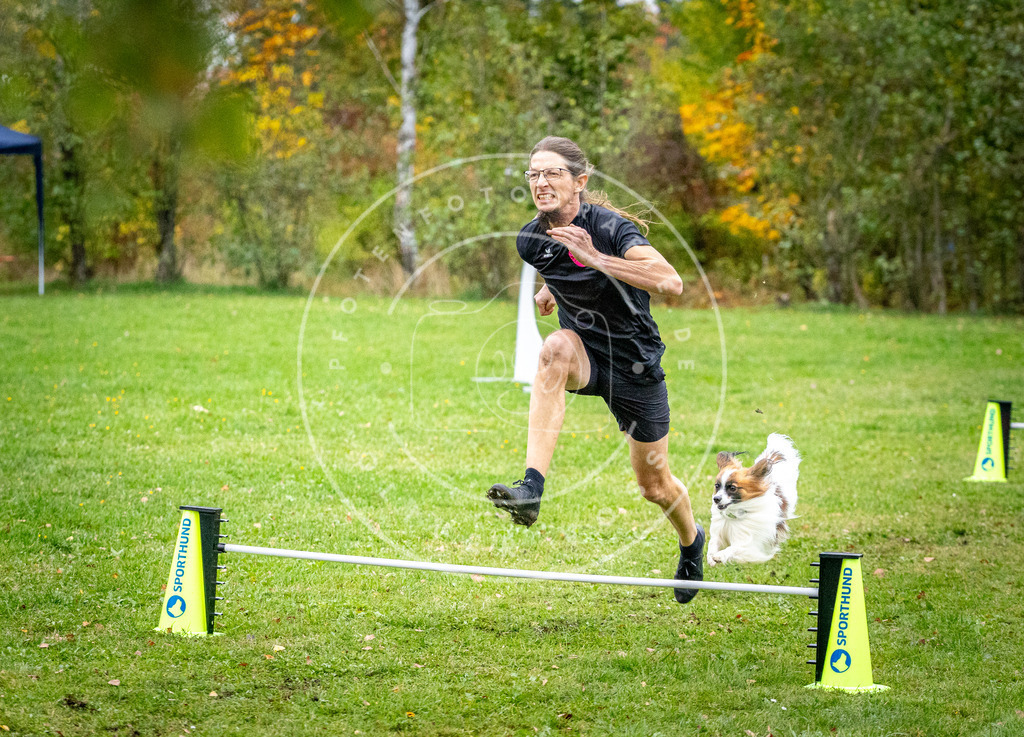 Pfotenfotografie_DV3A1319 | Hundefotografie, Tierfotograf, Pfotenfotografie, Fotoshooting Hund, Hunde Portrait, Hundesport, Hundeportraits, Heideshooting, Hunde, Sportfotograf, Hundefotograf, Turnierhundsport, THS,  - Realisiert mit Pictrs.com